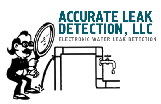 Electronic Water Leak Detection Services